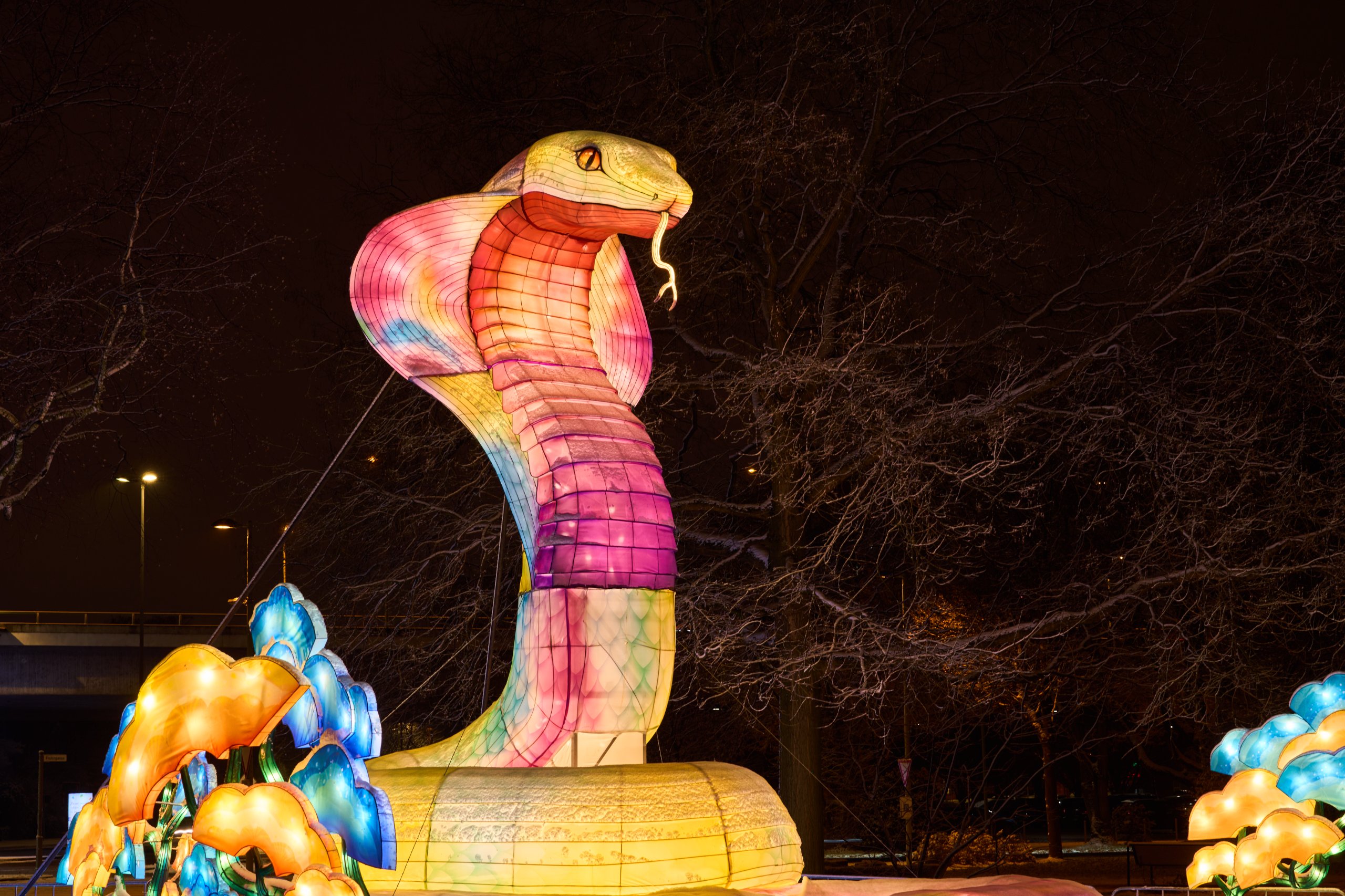 2026 01 05 China Lights 0009